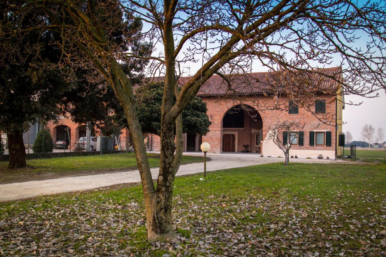Casa Norma San Martino di Lupari Exterior foto